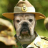 Avatar for lmtavares