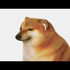 Acedepth さんのアバター