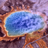 Avatar de thermophile