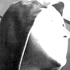 Avatar for xXPreDatoRXx