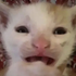 Avatar for robingusstinky
