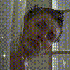 Avatar for rex69420