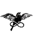 neverzbird için avatar