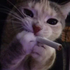 kysyoustupidhoe için avatar