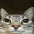 Avatar for Poetro22