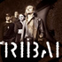 Avatar for tribal-rock
