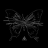 Avatar for ewerlightwave