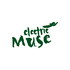 Avatar for electricmuse