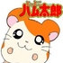 Аватар для steve_tsuyoshi