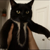 Avatar for MoldedBread