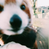 Avatar for xhatesongx