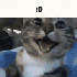 jerrymouse0317 さんのアバター
