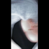 sqlick için avatar