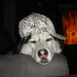 Avatar for zias123456
