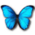 Avatar for littlebluewings