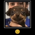 Avatar for pedroguioti