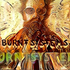 Avatar for burntsystems