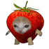Avatar for specialedkid2