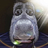 Avatar for asoihjdasd