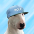 Avatar for Nemanja101