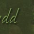 Avatar for Fflur Dafydd