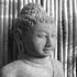 Buddhinchen 的头像