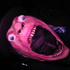 Avatar for elocinnek
