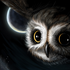 Avatar for Dark_owl