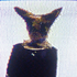 Avatar di Realcats04