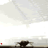 Avatar for twoflower-