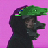 Avatar für ApacheSyd