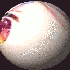Avatar di PRETTYCUTEDEAD