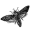Avatar for moXes_89