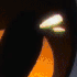 Avatar di KaizerGz