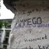 Ammego 的头像