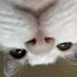 Avatar for Keanu_