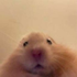 Gabka_ 的头像
