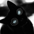Avatar for rafesr