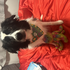 Avatar de CameronTheSats