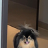 Ysabel_pedron 的头像