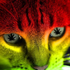 Avatar for simplyderso
