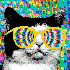 PsykedelikCat için avatar