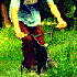 Avatar di yygurba