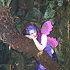 Avatar for pinknightfaery