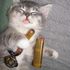 Avatar di Denji_CJNG
