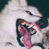 Avatar for eyyedeen