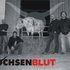 Ochsenblut 的头像