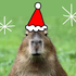 Avatar di BongRatWombat