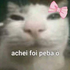 fiflop さんのアバター