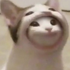 Avatar di Lwska